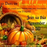 30-days-of-thankfulness-list-at-least-1-thing-you-are-thankful-for-each-day-in-november-be-inspired-and-encouraged-and-inspire-and-encourage-others-at-www-abettermedaybyday-com